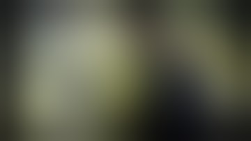 The Witcher 2 + Better Textures Mod