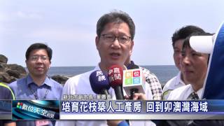 1060510【數位天空新聞】培育花枝築人工產房 回到卯澳灣海域