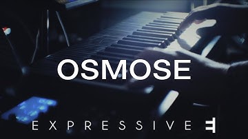 REYN - OSMOSE by Expressive E