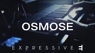 REYN - OSMOSE by Expressive E