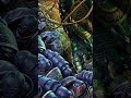 THE TWENTIETH LEGION THE ALPHA LEGION - WARHAMMER 40K LORE