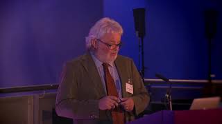 FRRIICT final event, Panel discussion 2014 – Daniel Stauffacher