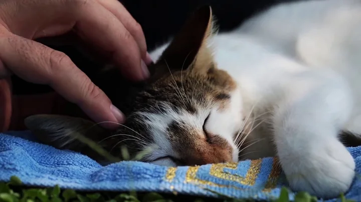 BIO-key The Power of a Touch