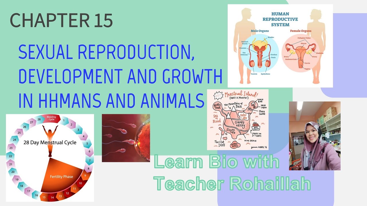 Biologi Tingkatan 4 Tingkatan 5 Biology Form 4 Notes Chapter 4 Chemical Composition Of The Cell