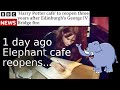  elephant house harry potter cafe reopens