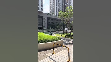 Không có view triệu đô, nhưng nơi đây có bình yên, một bình yên mà không phải ai cũng tìm thấy.