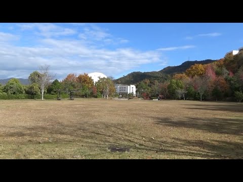 大塚東の、大塚学びの丘公園 (広島市安佐南区 2024.12.1)