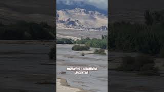 Medanitos - Catamarca - Argentina.
