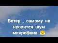 молодые 🕊️ голуби и взрослый сокол