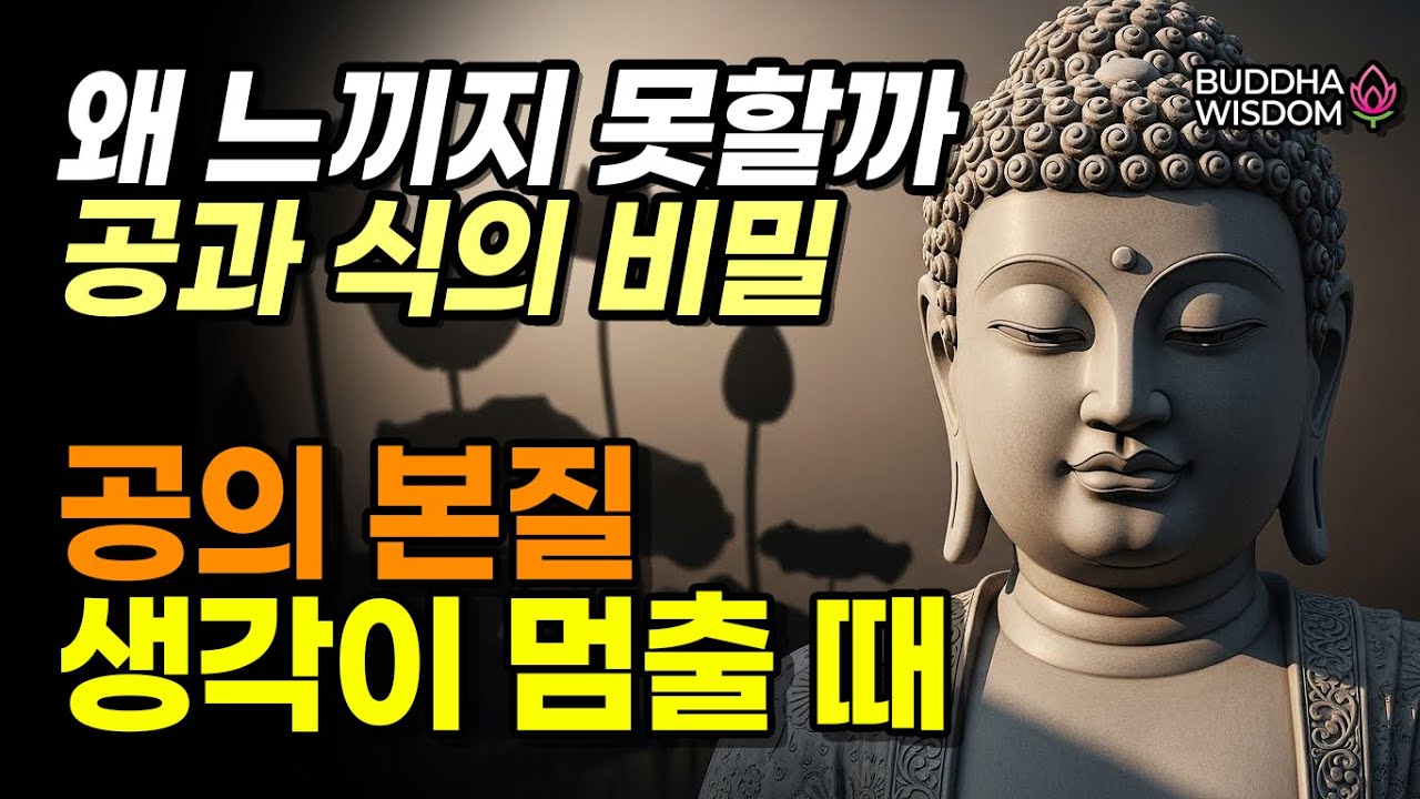 공(空)을 느끼지 못하는 이유 | 식·무명·분별의 작동 원리 | 화엄경·반야심경 정통 해설 | 부처님 말씀 | 불교명상 | 불교오디오북