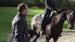 Video 1: How to train the young horse