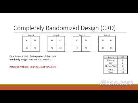 Split Plot Design