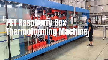 PET Raspberry Clamshell Box Thermoforming Machine