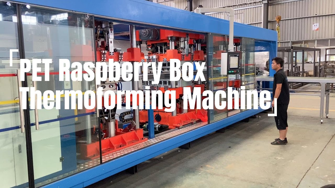 PET Raspberry Clamshell Box Thermoforming Machine - YouTube