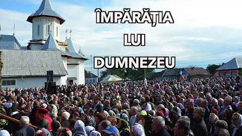 Totul Despre Tot Oficial Youtube