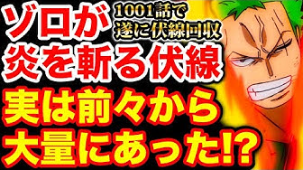 ワンピース1004話 Youtube