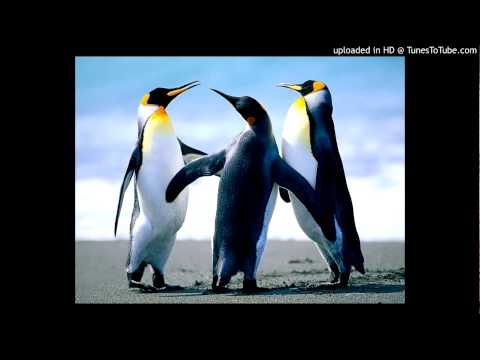 Morphic Video
