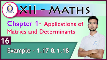 Class 12 Maths| Example -1.17 & 1.18 | Chapter 1 |Applications of Matrices and Determinants