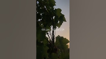القارئ : ماهر المعيقلي ، وبشّر الصابرين .