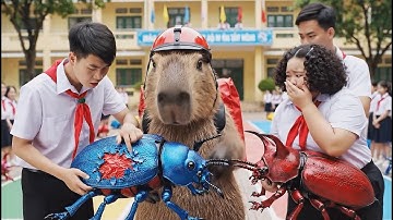 Tập dài 2 : Capybara tìm lại dế cam và tham gia cuộc thi đua Bọ Hung #bavacapybara #capybara