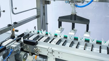 Cartoner Loading Robot