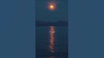 سورة البقرة الآيات 1-5 فضيلة الشيخ ياسر الدوسري