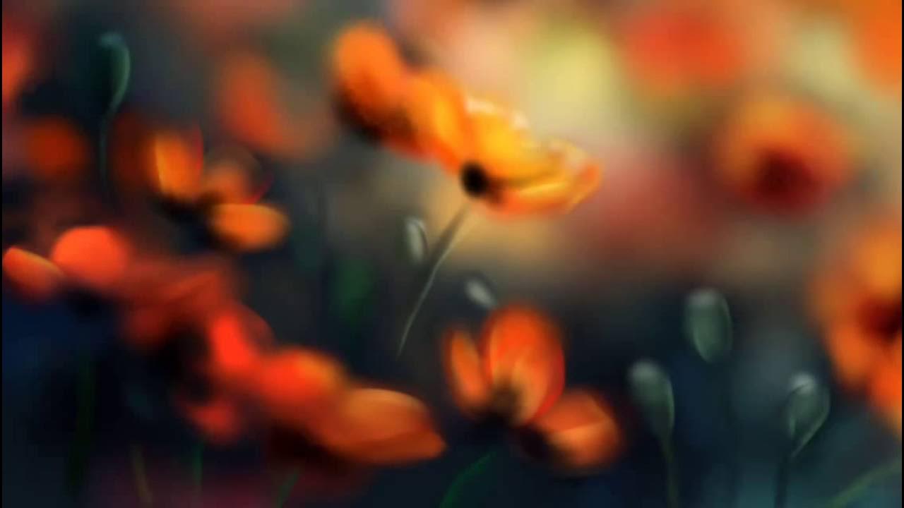 Temponaut. Цветочный взрыв. Винтажные цветы. Красивый букет цветов из китая. Сюрреализм ваза с цветами.