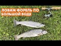 Рыбалка на форель Кыргызстан 2021 ! Сезон большой воды ! Кокомерен .