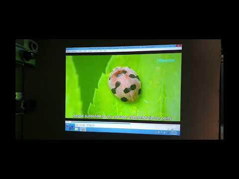 InFocus IN2104EP ProjectorGA Conference Room Projector