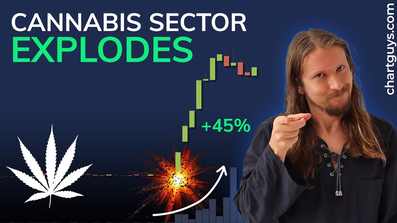 Cannabis Sector EXPLODES