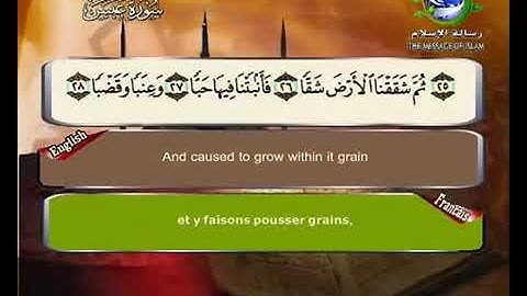سورة عبس مكتوبة للشيخ سعد الغامدي برواية حفص عن عاصم
