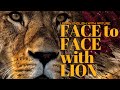    mad mike the bravest man ever on earth   face to face with lion