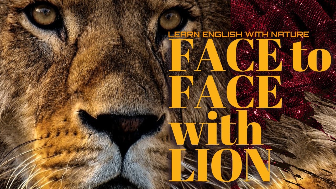 📽 🎞  Mad Mike -The Bravest Man ever on Earth -  Face to Face with Lion