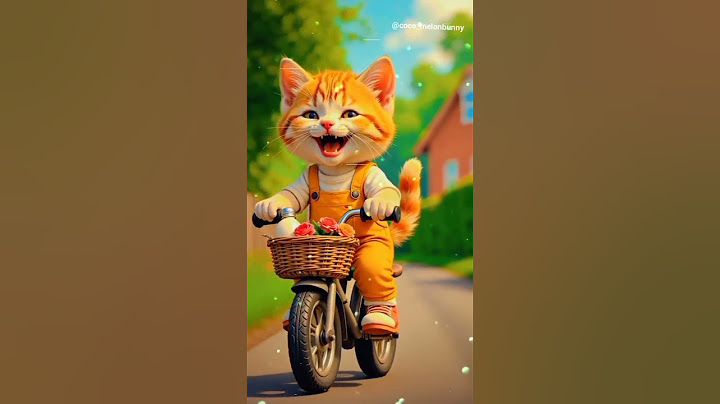 cute cat video 🐈|#funny #shortsfeed #catvideos #youtubeshorts