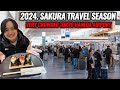 Spring travel situation update from tokyo haneda airport special airport onigiri rice ball  ep474