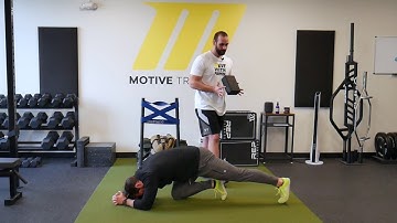 Quadruped Hip Extension Hover