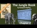 Chapter 02 - The Jungle Book by Rudyard Kipling - Kaa&#39;s Hunting | Road-Song of the Bandar-Log