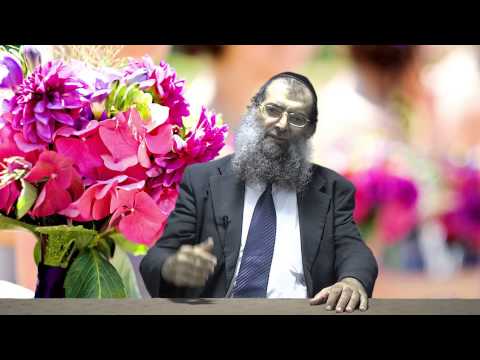 הכח שבדיבור | שלום בית | הרב משה דיין