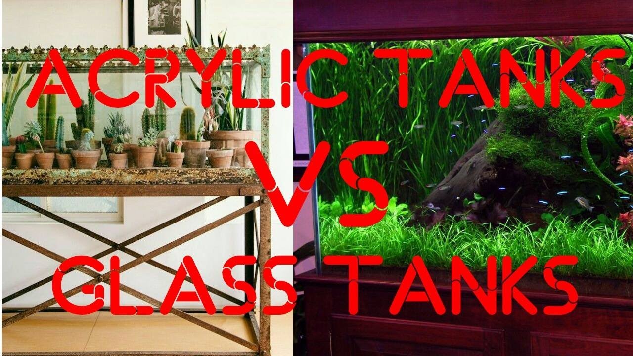 Glass tanks vs acrylic tanks pros and cons YouTube