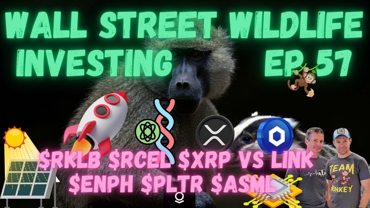 E57: Don't Be a Sheep! Why Price Action Controls Your Brain (and Portfolio) + $RCEL $ENPH