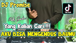 DJ AKU BISA MENGENDUS BAUMU VIRAL TIKTOK - DJ PROMISE MELLY GOESLOW REMIX TERBARU 2023