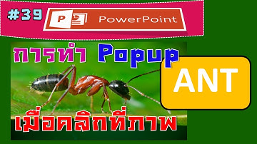 เมื่อคลิกรูปหรือปุ่ม ให้แสดงภาพหรือข้อความแบบ Popup