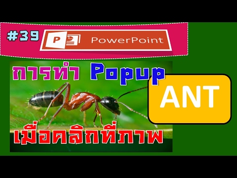 เมื่อคลิกรูปหรือปุ่ม ให้แสดงภาพหรือข้อความแบบ Popup