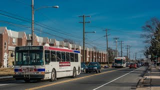 8 - 2015 February Buses