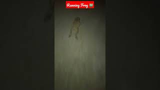 Running Frog