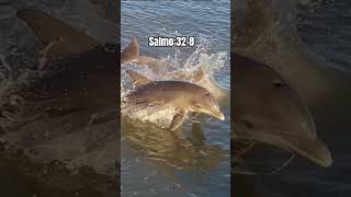 SALMO 32-8