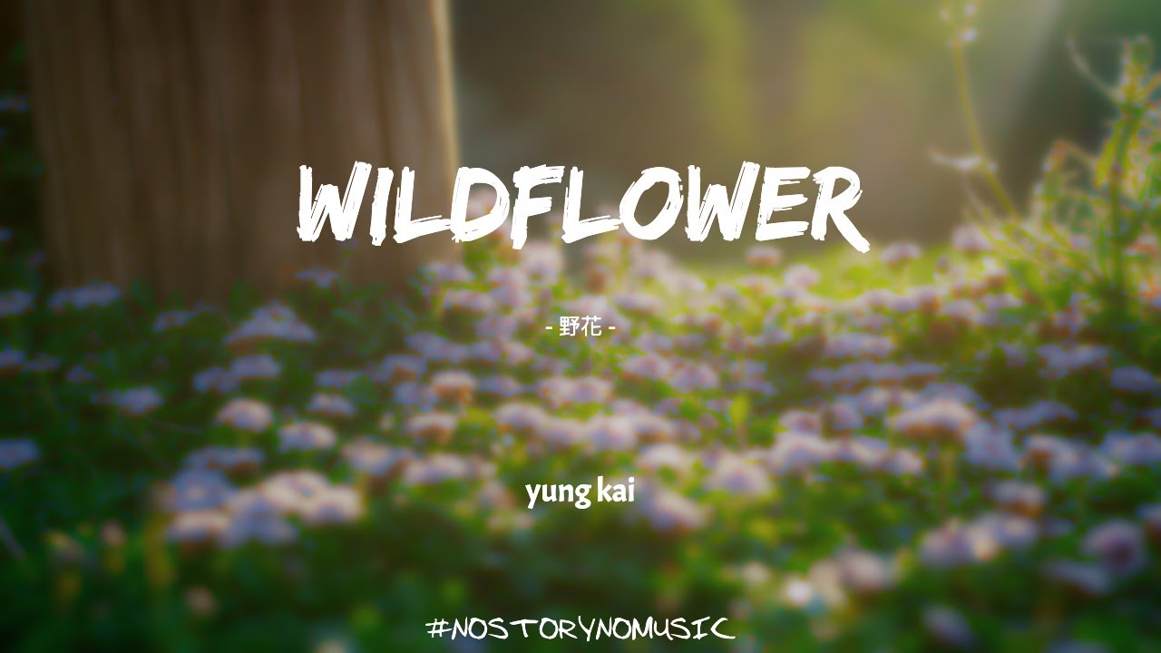 Watch yung kai - wildflower 野花|即使晴天我也會為你下雨,所以請用你的顏色描繪我的世界。| 中英動態歌詞 Lyrics on YouTube Watch yung kai - wildflower 野花|即使晴天我也會為你下雨,所以請用你的顏色描繪我的世界。| 中英動態歌詞 Lyrics on YouTube