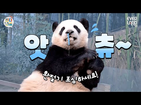 앗! 츄~🤧 이건 감기가 아니라 워토우 때문이라고요!｜#판다와쏭 #196