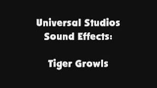 Universal Studios Sfx Tiger Growls