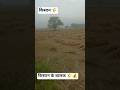 बालक किसाना के 🌾💰 #kuldeepaulina #viral #farming #farmer #kissan #shorts #youtube #youtubeshorts